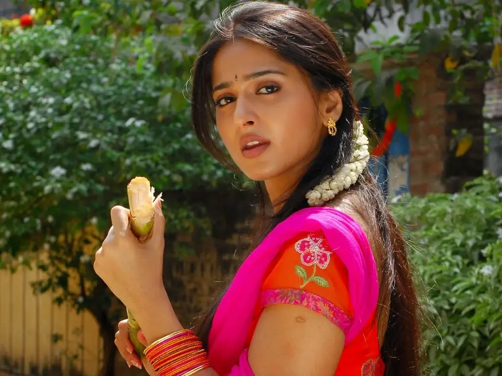 Beautiful Indian Girl Anushka Shetty Big Face Stills